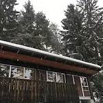 Villa Borca Di Cadore 别墅