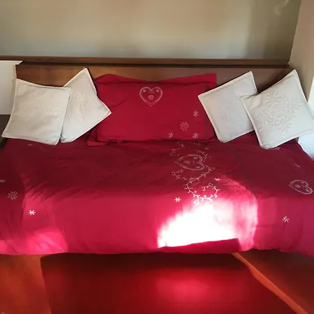 Villa Borca Di Cadore 别墅 *