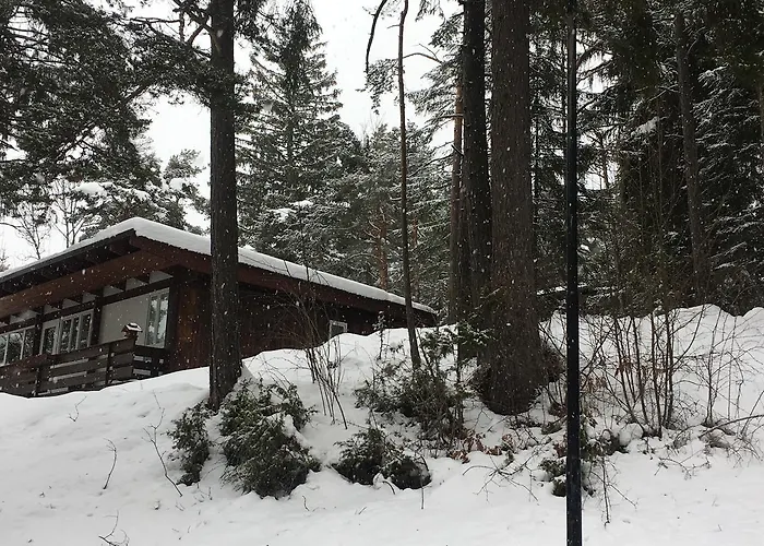 Villa Borca Di Cadore * 博尔查迪卡多尔