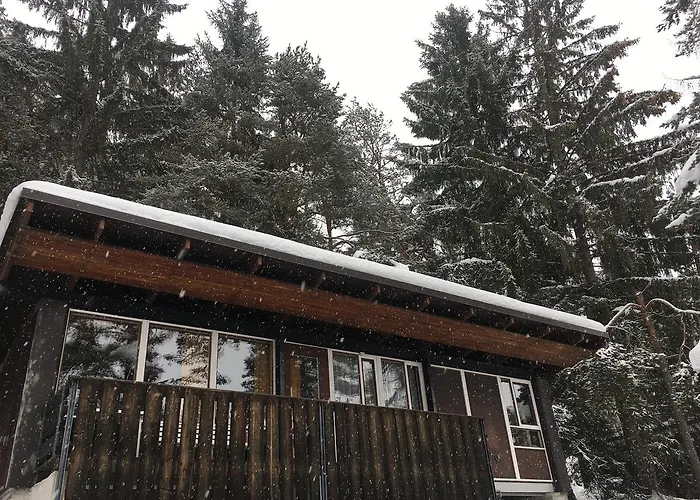 Villa Borca Di Cadore 别墅