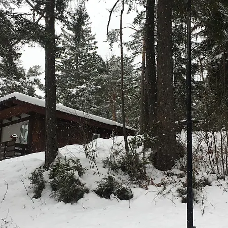 Villa Borca Di Cadore * Borca di Cadore